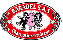 logo baradel Modif3.png
