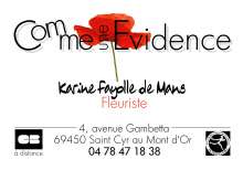 carte finale.jpg