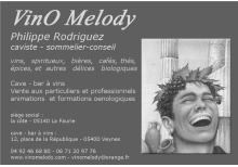 logo - carte de visite vinomelody