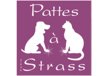 accessoires pour chiens et chats