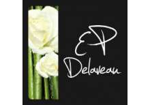 Logo Delaveau HD pour carré Facebook.jpg
