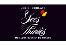 normal_yves-thuries_logo.png