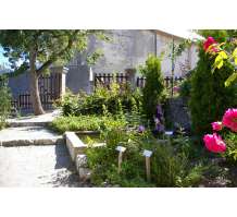 jardin.jpg