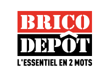 logo bricodepot.png