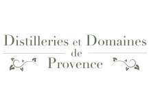 Logo DDP NEW HD gris.jpg