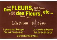 DES FLEURS DES FLEURS ETC...