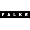 Falke Briançon