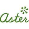 Aster Lyon