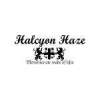 Halcyon Haze