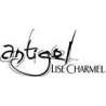 Antigel Saint Chamond