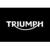 Triumph Vannes